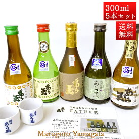 日本酒 飲み比べ セット あら玉 オリジナル セット 300ml x 5本 セット 純米大吟醸入 送料無料