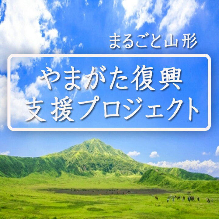 楽天市場 お中元 御中元 ワイン セット ふっこう福袋 山形 豪雨 被害復興支援セット 月山ワイン 6本セット 月山ワイン山ぶどう研究所 山形 まるごと山形