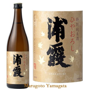 { Y ʏĎ Ђ₨낵 720ml {錧 s Ĥ N[