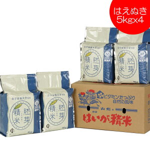 V 2025NxY ߘa7NxY  ͂ʂ 萸 20kg 5kgx4  R`Y ~ ^pbN kH