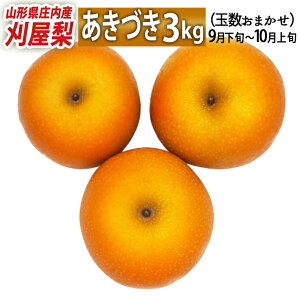 9{`1015͂ R`csY  H(Â) 3kg ʐ܂ Ÿדs 󏭂Șa lC̕i