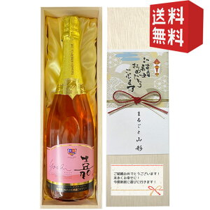 NX}X Mtg ˔ lt Xp[NOC Ci[  Xp[NO[ 750ml j a j