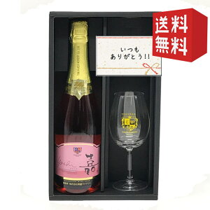 NX}X Mtg Xp[NOCƃCOX1r̃Zbg Ci[  [ 