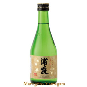 }\yő1000~ItN[|zzz1Nn Y ʏĎ Ђ₨낵 300ml {錧 s { 2020N9