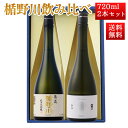 日本酒 楯野川 飲み比べ セット 純米大吟醸 亀の尾 と 清流720ml 2本セット 山形 地酒