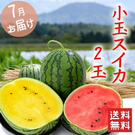 御中元 フルーツ果物 フルーツ スイカ 2色の小玉すいかセット 山形県産 7月中旬～7月下旬発送 2玉3kg以上 送料無料