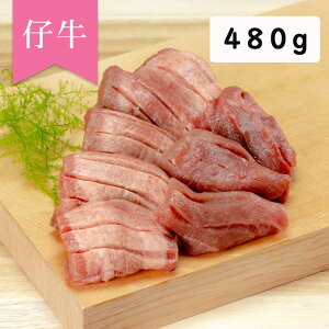 Ε ~Mtg ^ ؂ e̋^ۂƈ{n480g 䖼 w { ^ j j