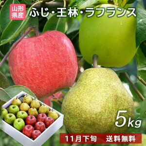 Ε ~Mtg t[c R` tX  xm &  5kg lߍ킹ZbgykCAAlABA͑+500~z11{̔\ Aȕ