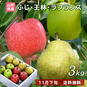 ubNtCf[yő1000~ItzN[|s Ε ~Mtg t[c R` tX  xm &  3kg lߍ킹ZbgykCAAlABA