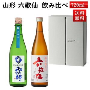 }\yő1000~ItN[|zzz{ ݔ Mtg Zbg R@t Z̐ 720ml×2{Zbg ϔ N[  R` s