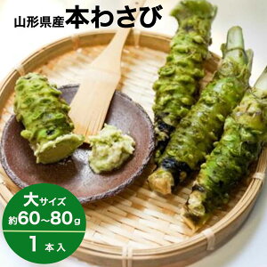 킳 {킳 1{ TCY 60`80g R`  x_Y wasabi R N[ 