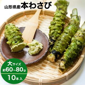 킳 {킳 10{ TCY 60`80g R`  x_Y wasabi R N[ 