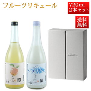 ubNtCf[yő1000~ItzN[|s Ε ~Mtg |̐ q t[c L[ 720ml 2{Zbg  [Og | R`cs R` 