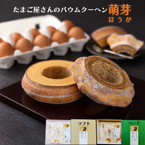 NX}X Ε ~Mtg XC[c ܂̃oEN[w G Hה n[h^Cv+ \tg^Cv V{ eX R` j  j o[N[w