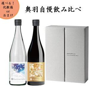 12/17ח\ { ݔ׃Zbg H L 킪 Wagauji 720ml 2{ Nami no Hana hߊɂ萶 SUMIKA đ hߐ N[  R` ߉s