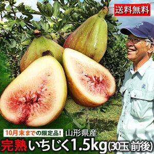 9甭Jn\   R`Y C`WN  ԉ 1.5kgi30ʑOj kCEElEBEzs N[ t[c