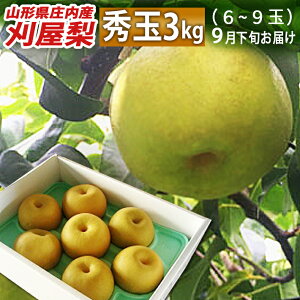 a 9{͂ R`csY  G イ傭 3kg ʐ܂ Ÿדs 󏭂Șa