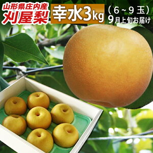 9{`Jn a R`csY  K 3kg(7ʁ`9) 