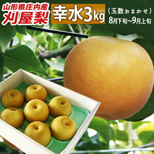 9����{�`�����J�n �a�� �R�`����c�s�Y ������ �K�� 3kg(7�ʁ`9��) ������