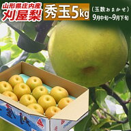 和梨 9月下旬お届け 山形県庄内酒田市産 刈屋梨 秀玉 しゅうぎょく 約5kg 玉数おまかせ 生産元直送の為同…
