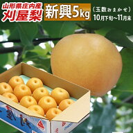 和梨 10月下旬〜11月上旬頃お届け 山形県庄内酒田市産 刈屋梨 新興(しんこう) 約5kg 玉数おまかせ 生産元…