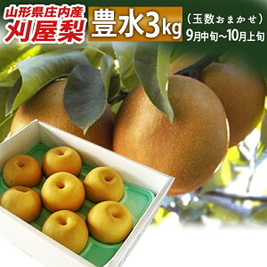 �a�� 9�����{�`10����{�����͂� �R�`��������c�s�Y ������ �L��(�ق�����) ��3kg �ʐ����܂��� ���Y�������̈ד����s�� �󏭂Șa�� �l�C�̕i��
