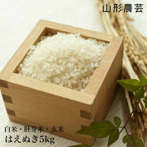 Vāyz͂ʂ 5kg@R`Y   āyE+2300~z  R  c