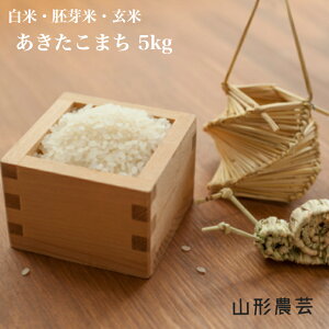 �����ʌ���I���Ă̂݁I���Ԍ�������I�V�ā��y���������z���������܂� 5kg �R�`���Y ���āy����E����+2300�~�z�� ���� �R�� ������ ��c