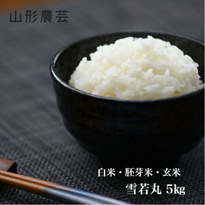 Vāyz 5kg R`Y   āyE+2300~z  R  c