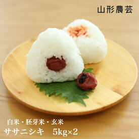 新米【送料無料】ササニシキ 10kg（5kg×2）山形県産 白米 胚芽米 玄米【沖縄・離島+2300円】米 お米 コメ 庄内米 酒田