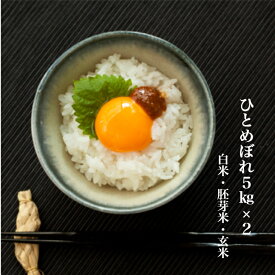 【送料無料】ひとめぼれ 10kg（5kg×2）山形県産 白米 胚芽米 玄米【沖縄・離島+2300円】米 お米 コメ 庄内米 酒田