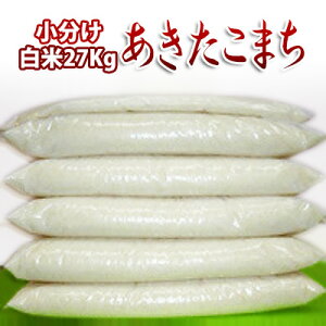 V ߘa7NY R`Y ܂ 6܏ Č 27kg ܑΉ k  R  1 