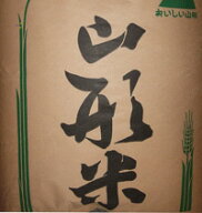 令和7年 山形県産 雪若丸 玄米30kg 1等米