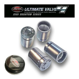 静電気 除去 グッズ 車 【 激カンタム 究極バルブ4 】中和 摩擦抵抗 減少 燃費向上燃費 向上 グッズ 燃費 向上 パーツ トヨタ ミニバン ワンボックス 車 パワーアップ トルクアップ バルブ タイヤ キャップ 燃費 燃費 向上グッズ 送料無料