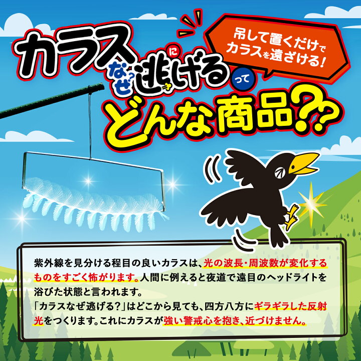 楽天市場 カラスなぜ逃げる ニューどこでもタイプ 撃退率95 以上 カラス撃退 カラス 対策 グッズ 鳥対策 ゴミ 鳥よけ カラス除け 鳥よけ グッズ カラス 撃退 グッズ 烏 糞 よけ カラス ゴミ ボックス 車 鳥 糞 よけ 鳥よけ 鳥 害 対策 グッズ ベランダ