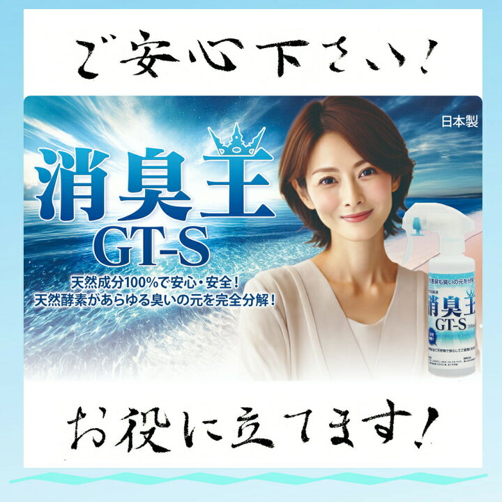 楽天市場】消臭 除菌 無香料 無臭 消臭王GT-S 液体 無臭 500ml 嫌な 