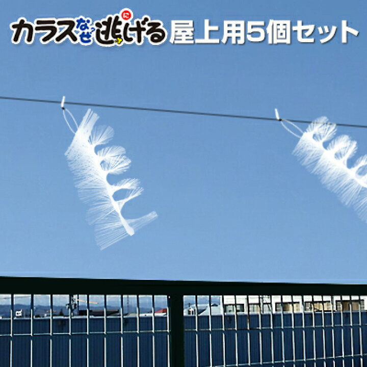 楽天市場 送料無料 カラスなぜ逃げる 屋上用5個セット 実験を重ねて新登場 撃退率98 以上 カラス 対策 グッズ カラス撃退 カラス 糞 対策 カラスよけ 烏 からす ゴミ 対策 ゴミ置き場 カラス 撃退 グッズ カラス 対策 カラス ベランダ ボックス カラス駆除 カラス