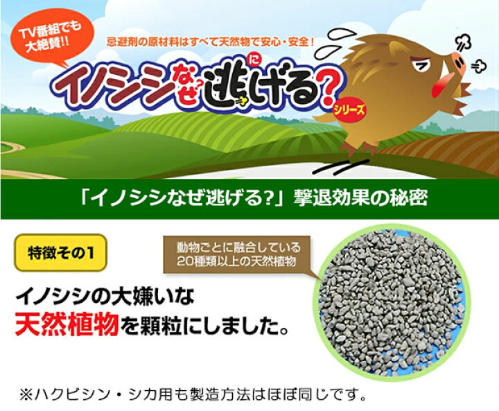 楽天市場】【楽天1位】 鹿よけ対策 鹿 撃退 シカなぜ逃げる? 50個 