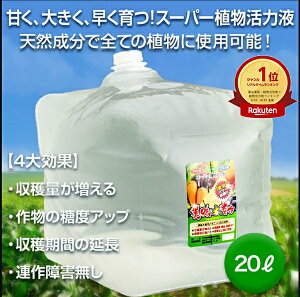 A ͉t L GT-S 1L  VR 100% n x Abv L t 엿 t A A͍ yǍ At  ؉ A~m_ 앨 ͉t |  R͔| 