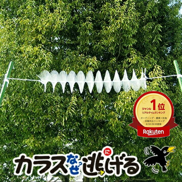 楽天市場】カラスよけ カラス対策 グッズ カラスなぜ逃げる? 標準 