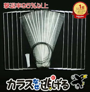 JX悯  ΍ObY yJXȂ? j[ǂł10Zbgz ޗ95ȏ 2Nȏʎ JX x_ 悯ObY x_ JX G 炷 쏜  G