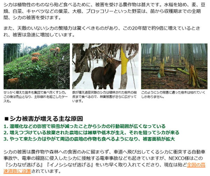 楽天市場】鹿よけ対策 鹿 撃退 シカなぜ逃げる? 50個セット 鹿が嫌い 