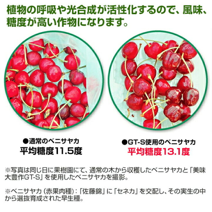 楽天市場】植物 活力液 美味大豊作 GT-S 1L 活性剤 天然成分 100% 収穫  