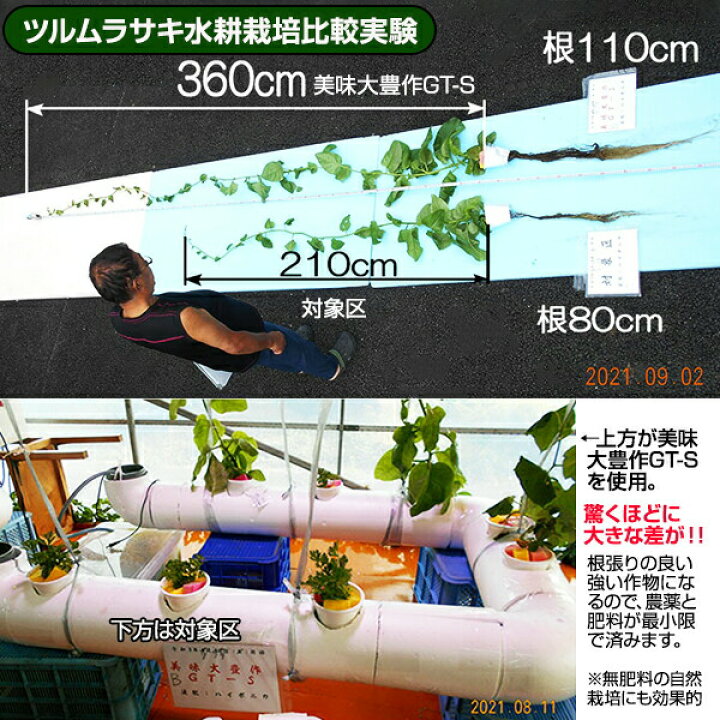 植物活力液 美味大豊作GT-S 10リットル 作物が早く大きく育ち収穫量 
