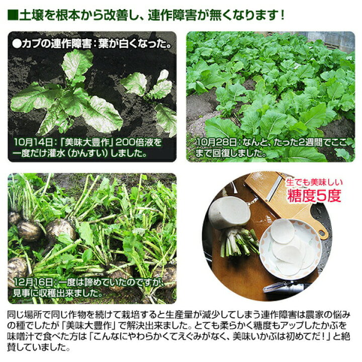 楽天市場】植物 活力液 美味大豊作 GT-S 10L 活性剤 天然成分 100 