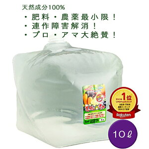 A ͉t L GT-S 10L  VR 100% n x Abv L t 엿 t A A͍ yǍ At  ؉ A~m_ 앨 ͉t |  R͔|