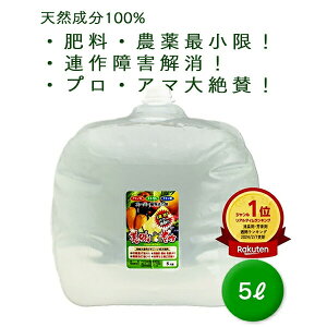 A ͉t L GT-S 5L  VR 100% n x Abv L t 엿 t A A͍ yǍ At  ؉ A~m_ 앨 ͉t |  R͔| 