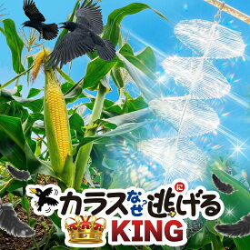 【楽天1位】 カラスよけ対策グッズ【カラスなぜ逃げる?キング 2個セット】 ベランダ・ゴミ置き場対応 鳥よけ 忌避 撃退 長期間効果 からす対策 車・烏糞よけ 日本製 送料無料 回転反射光で撃退 撃退率95%以上 簡単取り付け 設置サポート 屋外 駐車場 忌避グッズ 撃退グッズ