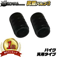 【楽天1位】 静電気除去グッズ バイク用 激カンタム 究極バルブ3 摩擦抵抗を意識した走行バランスケア バ…