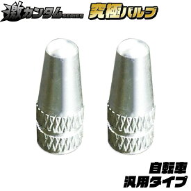 静電気除去グッズ 自転車用 激カンタム 究極バルブ 摩擦抵抗を意識した走行バランスケア 自転車 タイヤバルブ ロード・BMX 日本製 送料無料